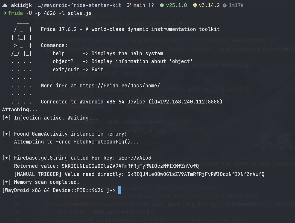 Image of frida output